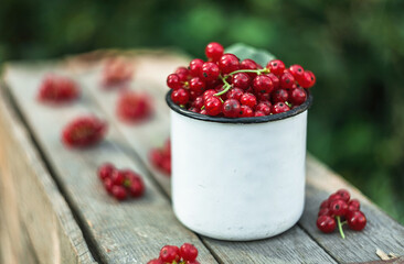 red currants on a wooden table