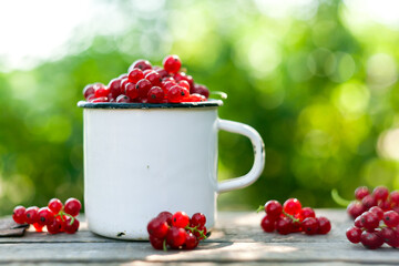 red currants on a wooden table