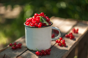 red currants on a wooden table