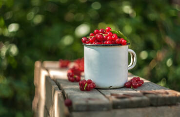 red currants on a wooden table