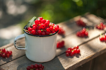 red currants on a wooden table