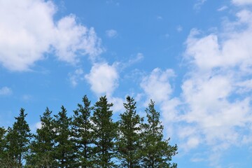 青空　碧　風景　爽やか　茨城