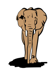 elephant