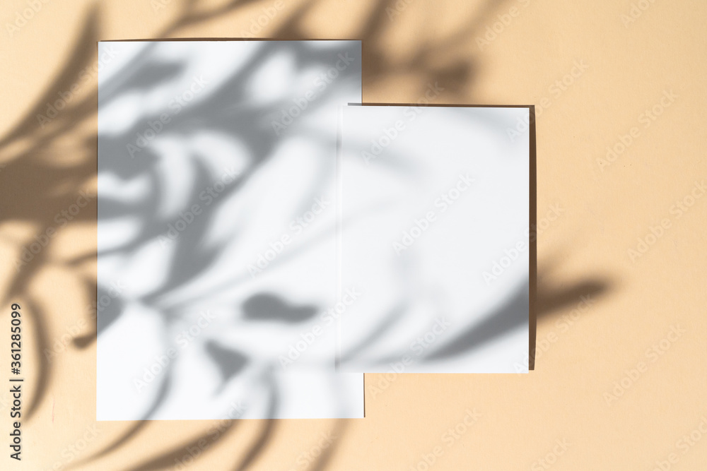 Poster Blank white businesscard on beige background with creative floral shadow