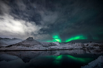 Polarlicht über dem Fjord - Lofoten