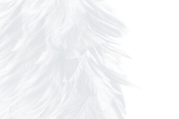 Beautiful white feather wooly pattern texture background  with copy space