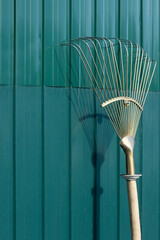 Metal rake standing vertical against green shed wall in the garden with shadow