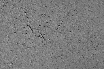 Исходные имена: Textured traces of a spatula on gypsum plaster