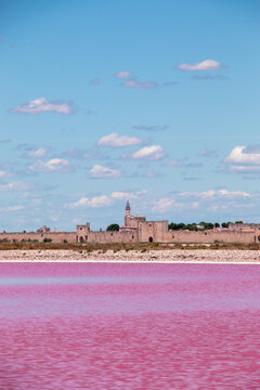 Vue sur les remparts d'Aigues-Mortes ainsi que du Salin