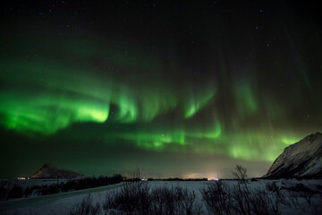 Polarlicht über den Lofoten im Winter