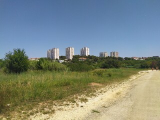 miami beach skyline