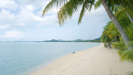 Fototapeta na wymiar tropical beach with palm trees from Ban Tai Beach koh samui island,thailand