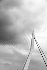 erasmus bridge in Rotterdam holland