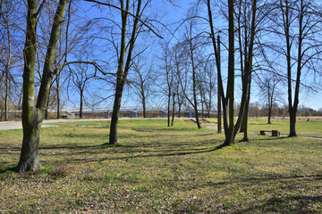 Meadow, lawn and trees on a cloudless day, with a bridge in the background.