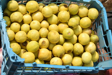 Vegetables for sale at India.