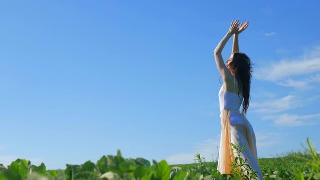 A beautiful girl stands in the middle of the field and reaches for the sun. Young model enjoys the summer rays of the sun. Eyes closed, summer, blue sky, green field.