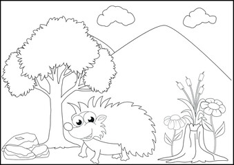 pictures designs animal coloring for kids