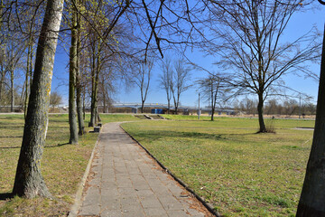 Fototapeta na wymiar Meadow, lawn and trees on a cloudless day, with a bridge in the background.