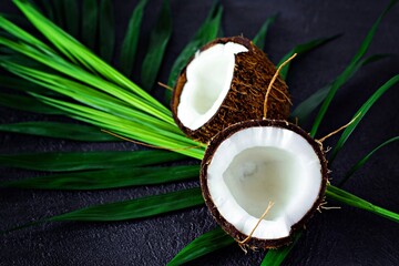 Ripe coconut with palm leaves on a dark background. Summer fruits, healthy eating concept. Healthy concept and Spa
