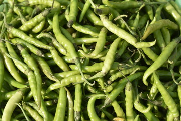 Vegetables for sale at India.