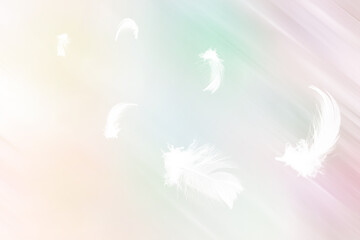Colorful white feathers floating in air isolated on pastel color background