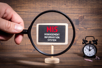 MIS, Management Information System concept. Hand holding magnifying glass © STOATPHOTO