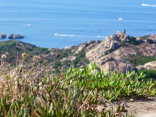 Vista panoramica da Caprera in Sardegna