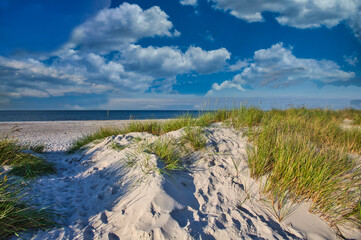 Baltic sea, Germany, Mecklenburg-Western Pomerania, Darß, Prerow, beach