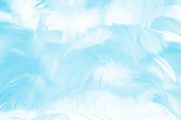 green turquoise vintage color trends chicken feather texture background