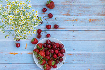Composition of cherries, strawberries and white daisies. Bright cherries and strawberries lie on a blue wooden background. White daisies on a blue wooden background. Summer. Fruits.