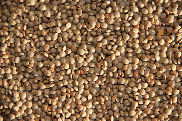 The texture of the lentils