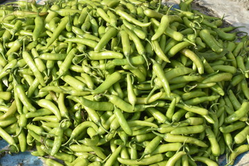 Vegetables for sale at India.
