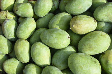 Mangoes for sale at India.