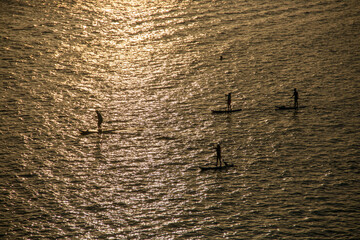 
a group of sap surfers sailing at sunset in the sea, view from the top