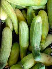 cucumbers in the market image