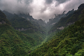 Fototapeta na wymiar China's misty winding mountain road, the beautiful Zhangjiajie natural scenery.