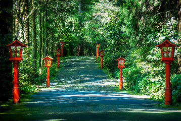 Path with red lanterns around Lake Ashi