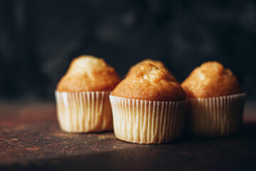 Beautiful tasty muffins on a dark background with a shadow and place for text