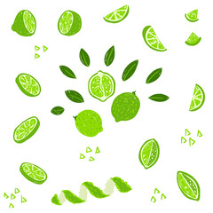 Lime hand drawn vector illustration. Lime fruit set. Whole, sliced lime, cut, leaves. Design template