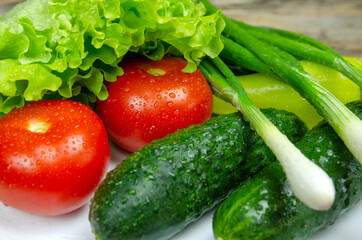 beautiful fresh, juicy vegetables with drops of water on a white plate: fresh peppers, tomatoes, cucumbers, lettuce, dill, green onions
