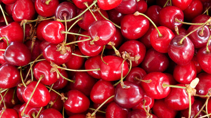 A lot of fresh delicious red cherries in a box close-up at the rural market