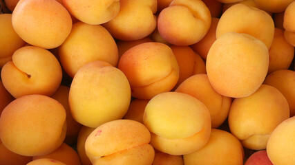 Macro photo of tropical fruit apricot at the rural market