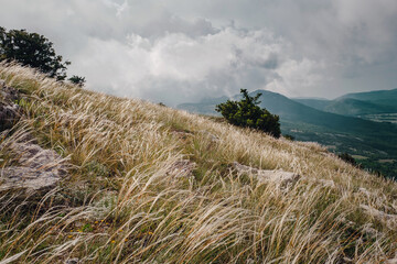 forge on the slopes of the summer mountains