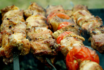BBQ. Barbecue on skewers on coals in the grill close up with tomatoes, onion and peppers. Barbecue camping dinner.