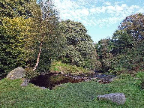 a grass covered woodland clearing surrounded by trees with stepping stones crossing a small river know as colden water in the colden valley in west yorkshire