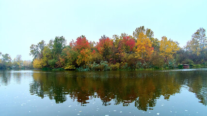 Autumn countryside landscape with red, yellow, green autumn trees on the river bank on a early foggy morning