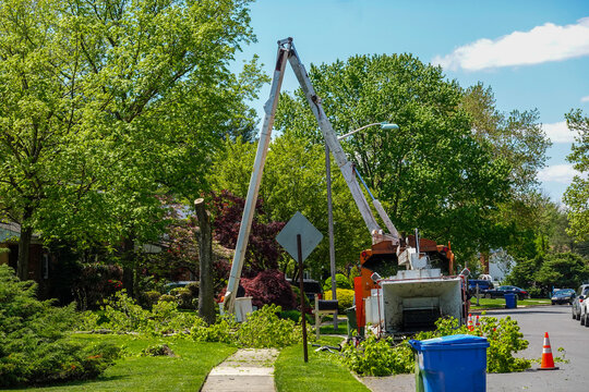 Large bucket crane truck with a long arm is seen in front of a house where a large tree is partially cut down
