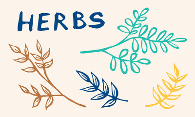 Obraz premium Hand drawn vector collection of herbs. Doodle floral element. Spring and summer symbol. Contour otline drawing of simple colorful twigs and flowers