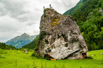 Athletic woman climbing a boulder with cows in the background in Zillertal Austria © eitam