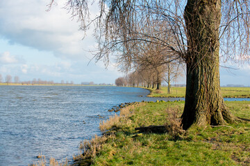 Fototapeta na wymiar a river flows through a polder
